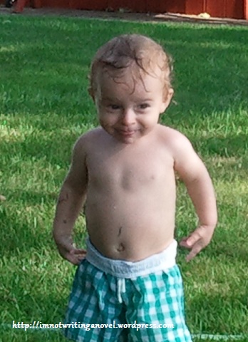 Politics Shmolitics!