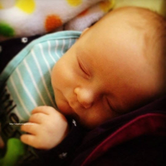 Our newest addition, E, asleep