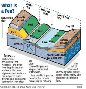 Illustrated_diagram_of_a_fen
